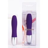 DISCRETION VIBR. PROBE PURPLE